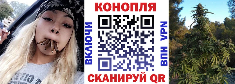 Где можно купить наркотики Бодайбо Бутират  Меф мяу мяу  блэк спрут как войти  Бошки Шишки  A PVP  ГАШ 