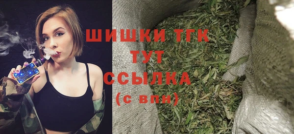 шишки Алзамай
